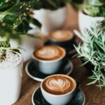 nathan dumlao zuns99pgdg0 unsplash